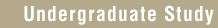 Undergraduate Study