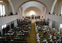 American Mosques